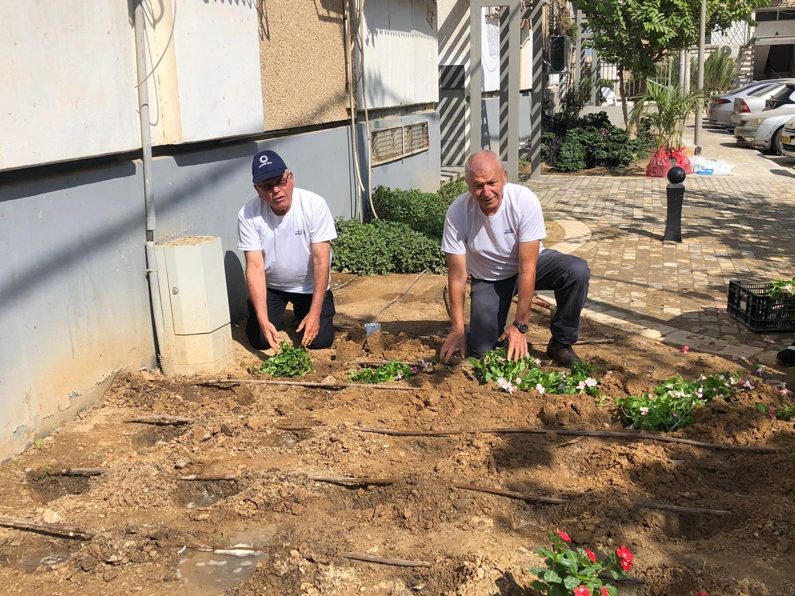 התנדבות הנהלת משרד הבינוי והשיכון מבצע שיפוצים של דיור ציבורי